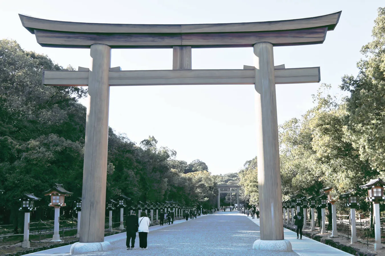Expansive sacred white gravel path with towering trees leading toward the torii gate at Kashihara Jingu